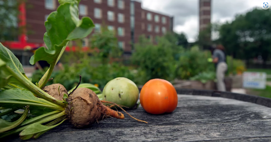 Gray Street Farmers Market