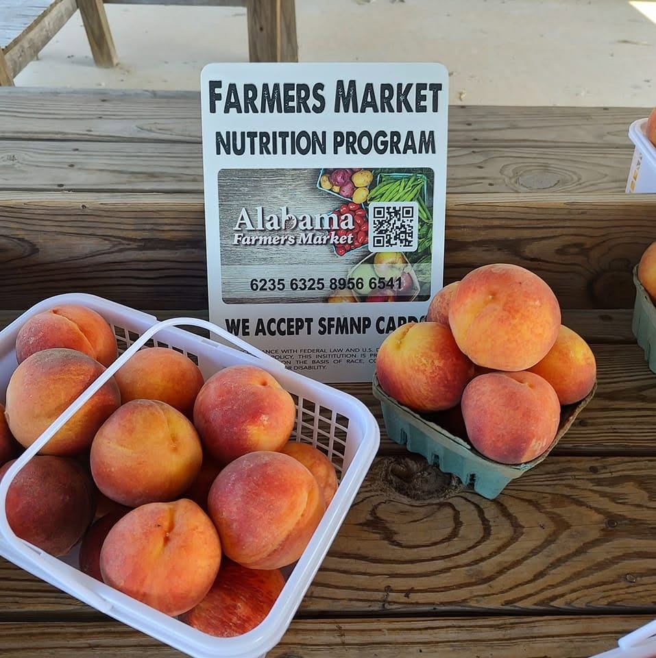 Walker County Farmers Market