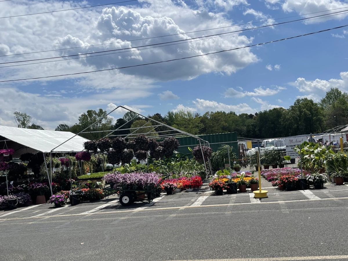 Outdoor Flea Market photo