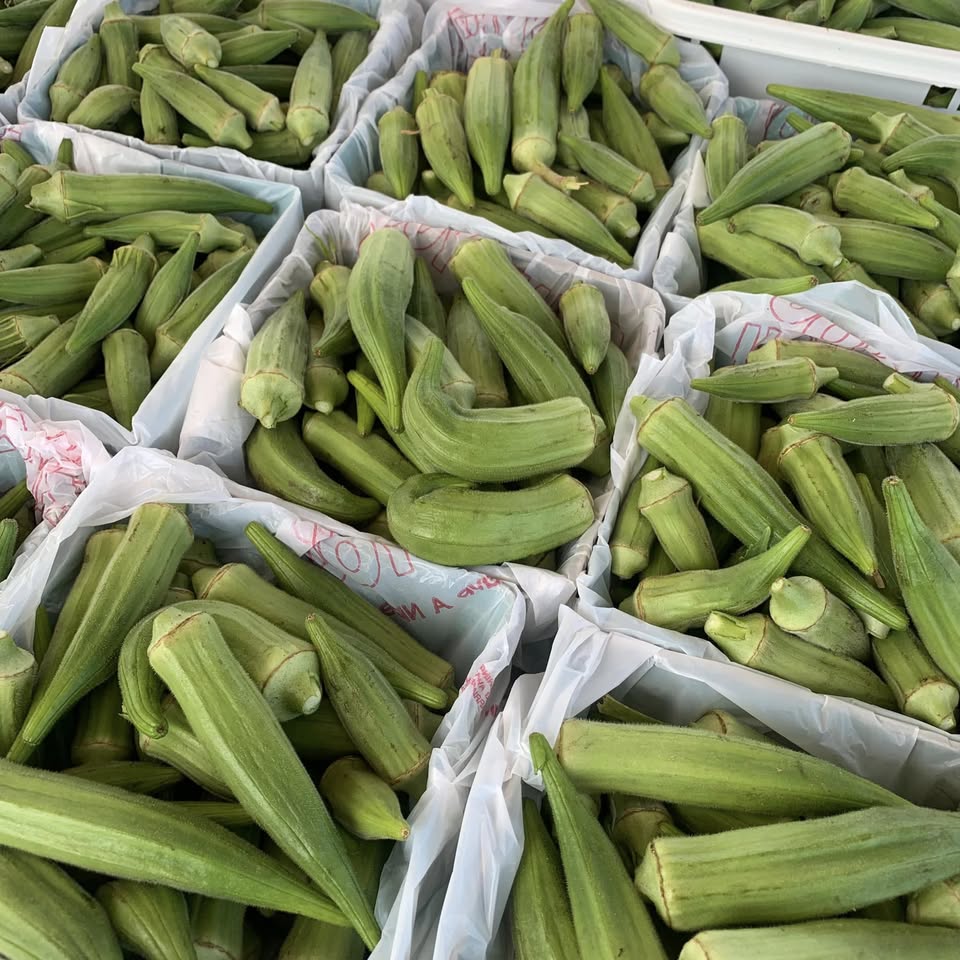 Columbiana Farmers Market