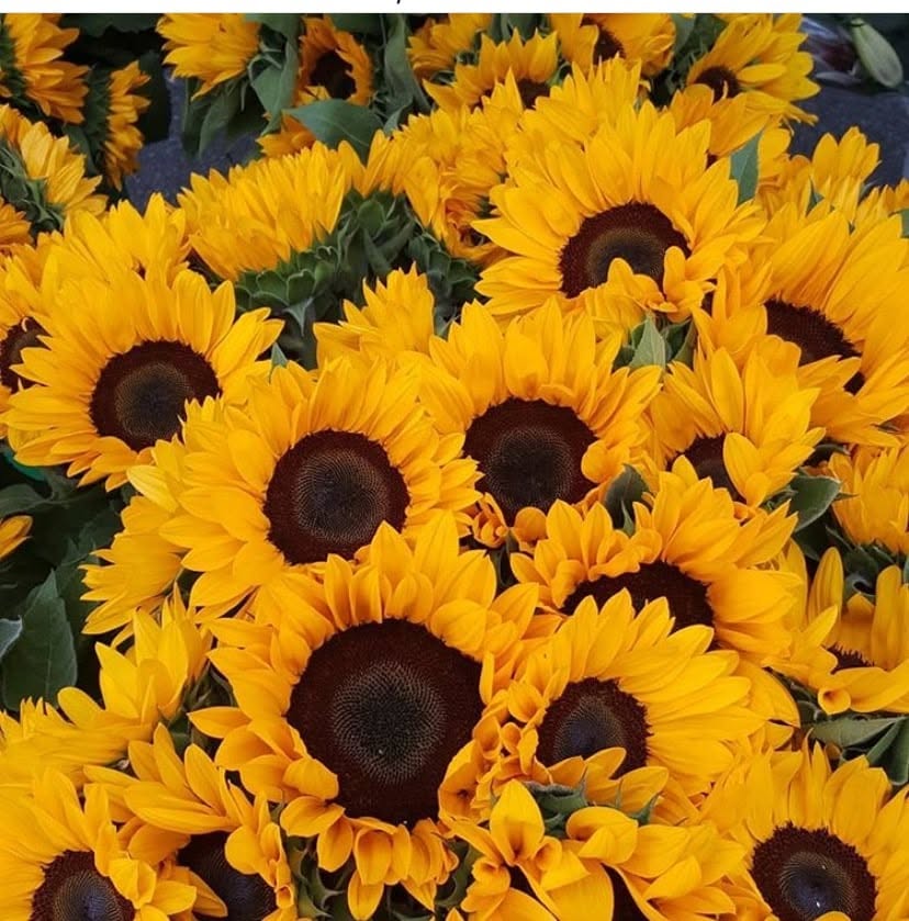Hermosa Friday Farmers Market