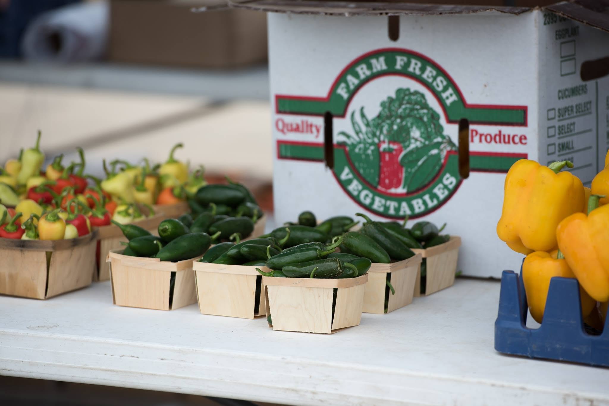 Wildwood Farmers Market