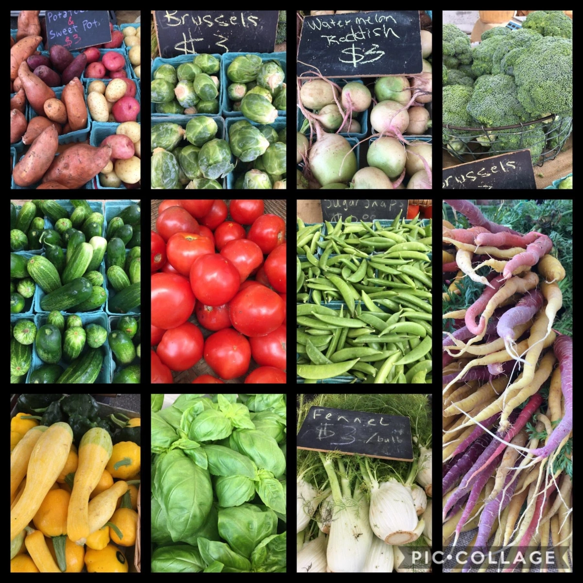 Farmers Market at Bluffton