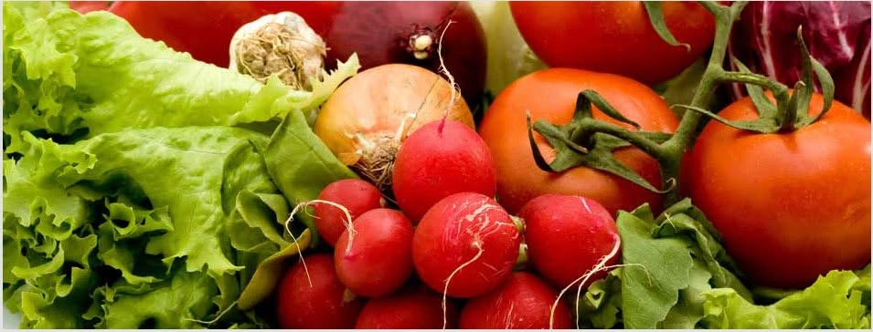 Jackson Hole Farmers Market on the Town Square