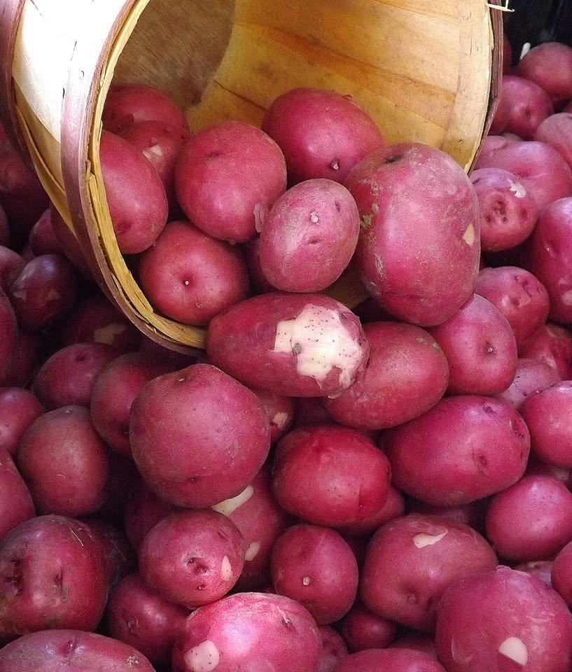 Gooding Farmers Market