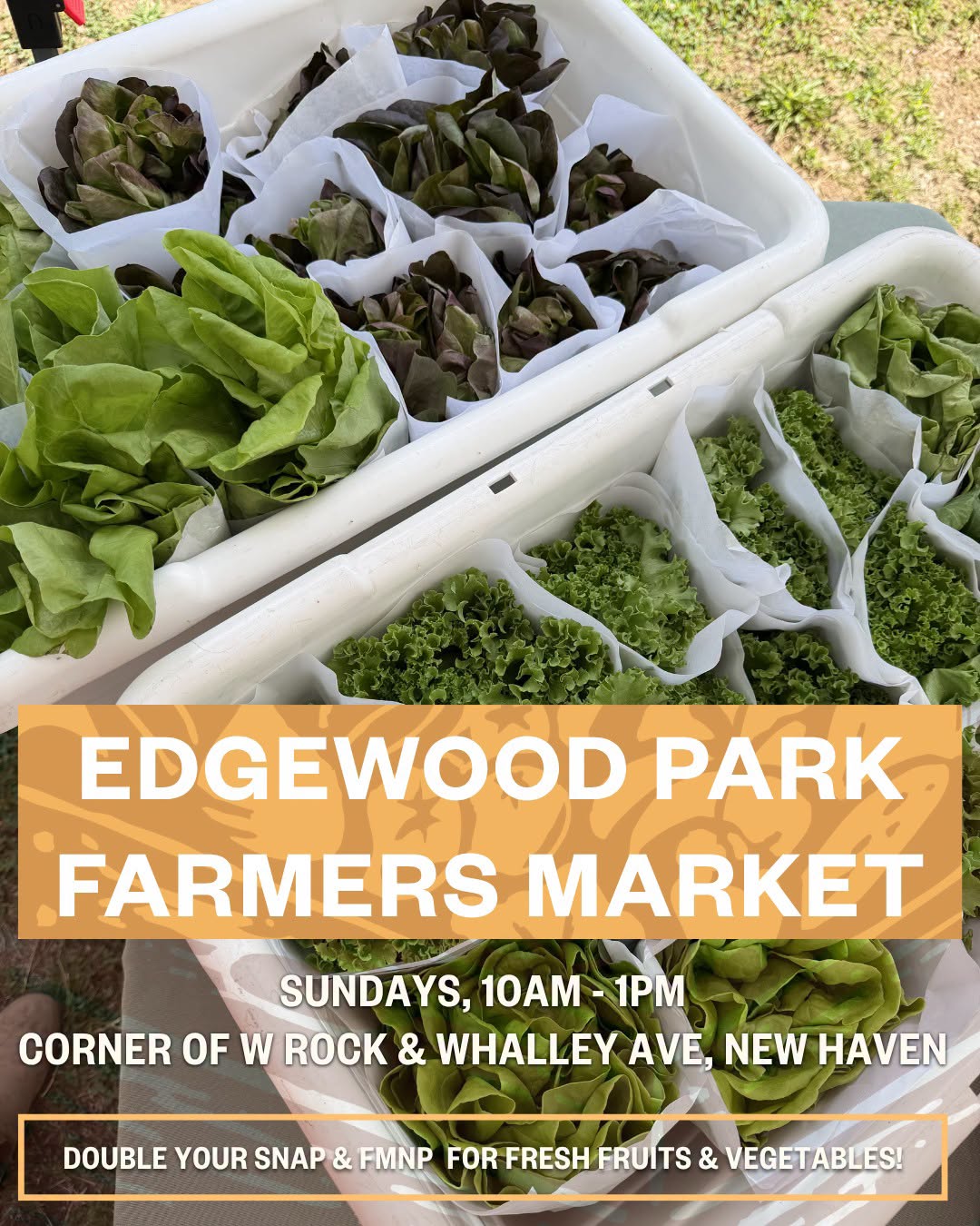 Edgewood Park Farmers Market