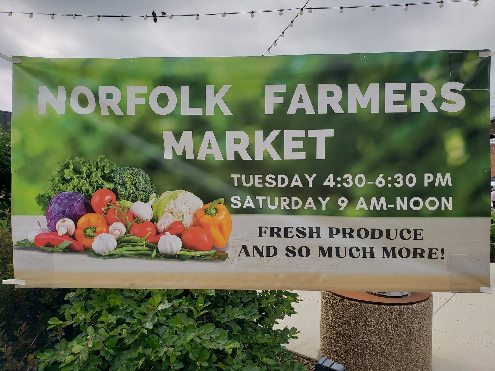 Norfolk Farmers Market