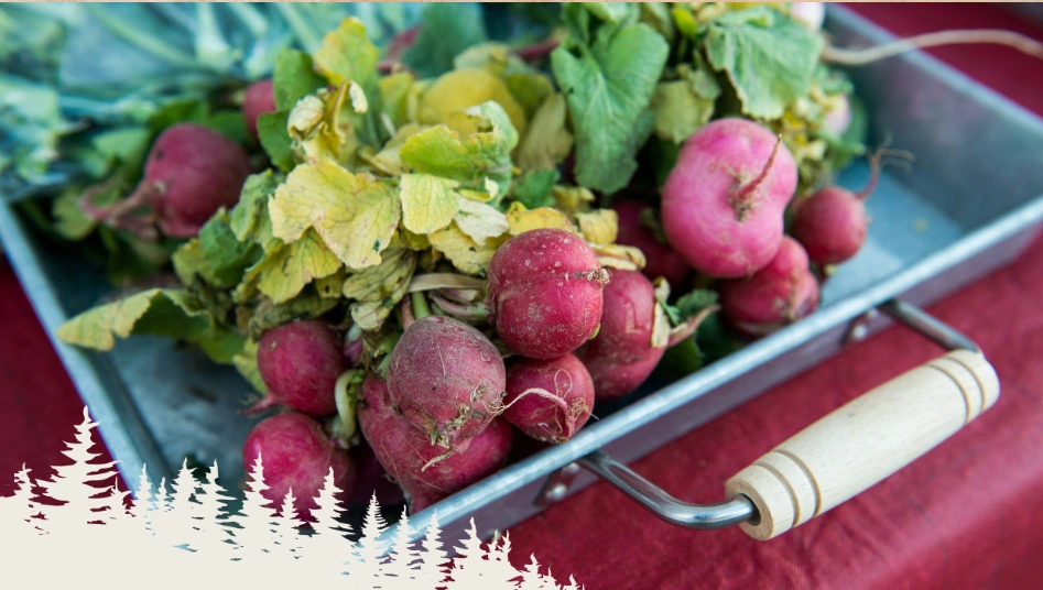 Sheridan Farmers & Artisan Market