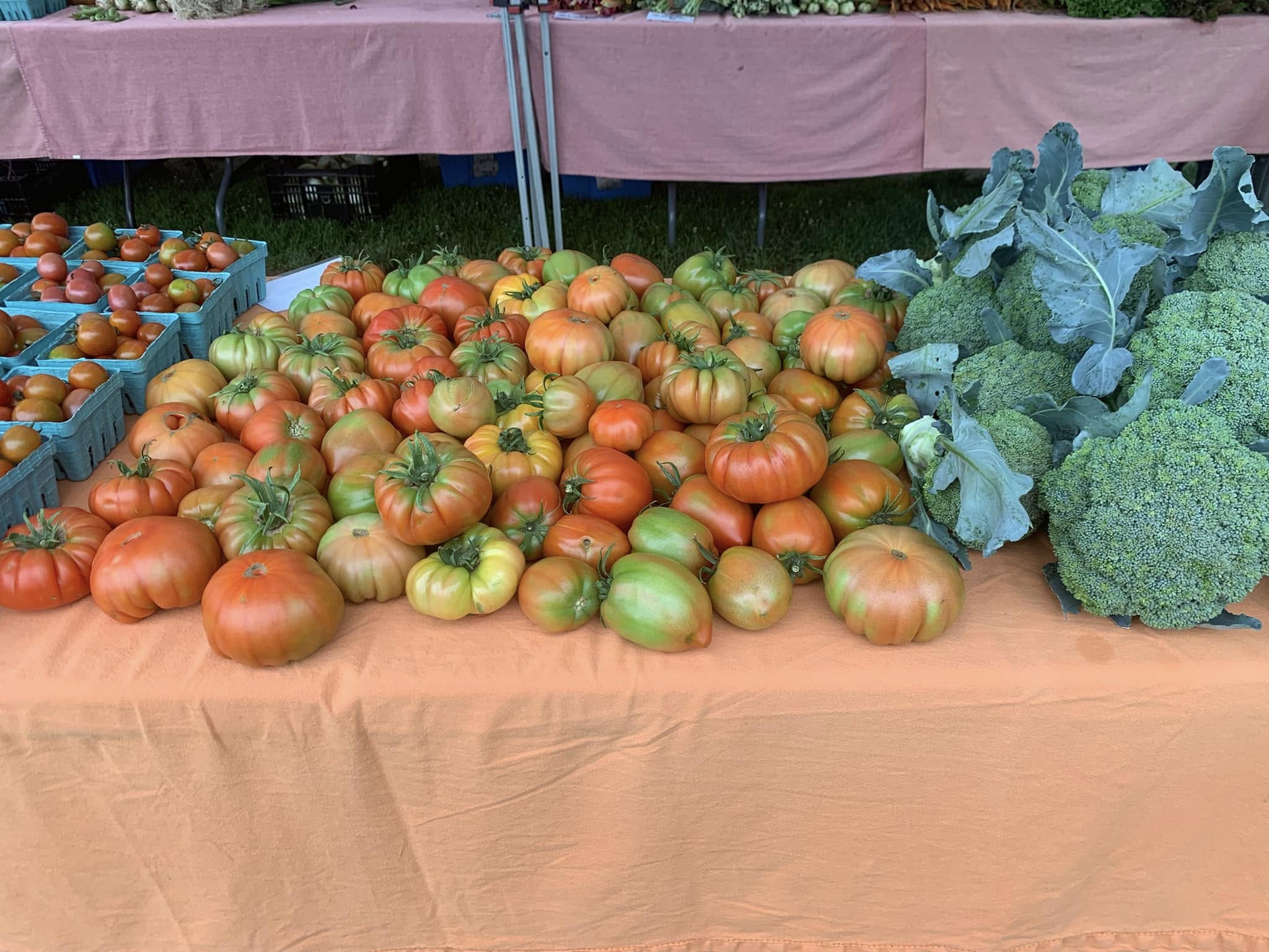 South Kingstown Farmers Market