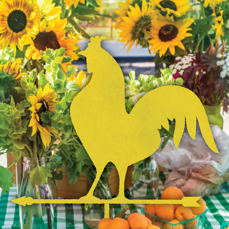 Oro Valley Farmers Market