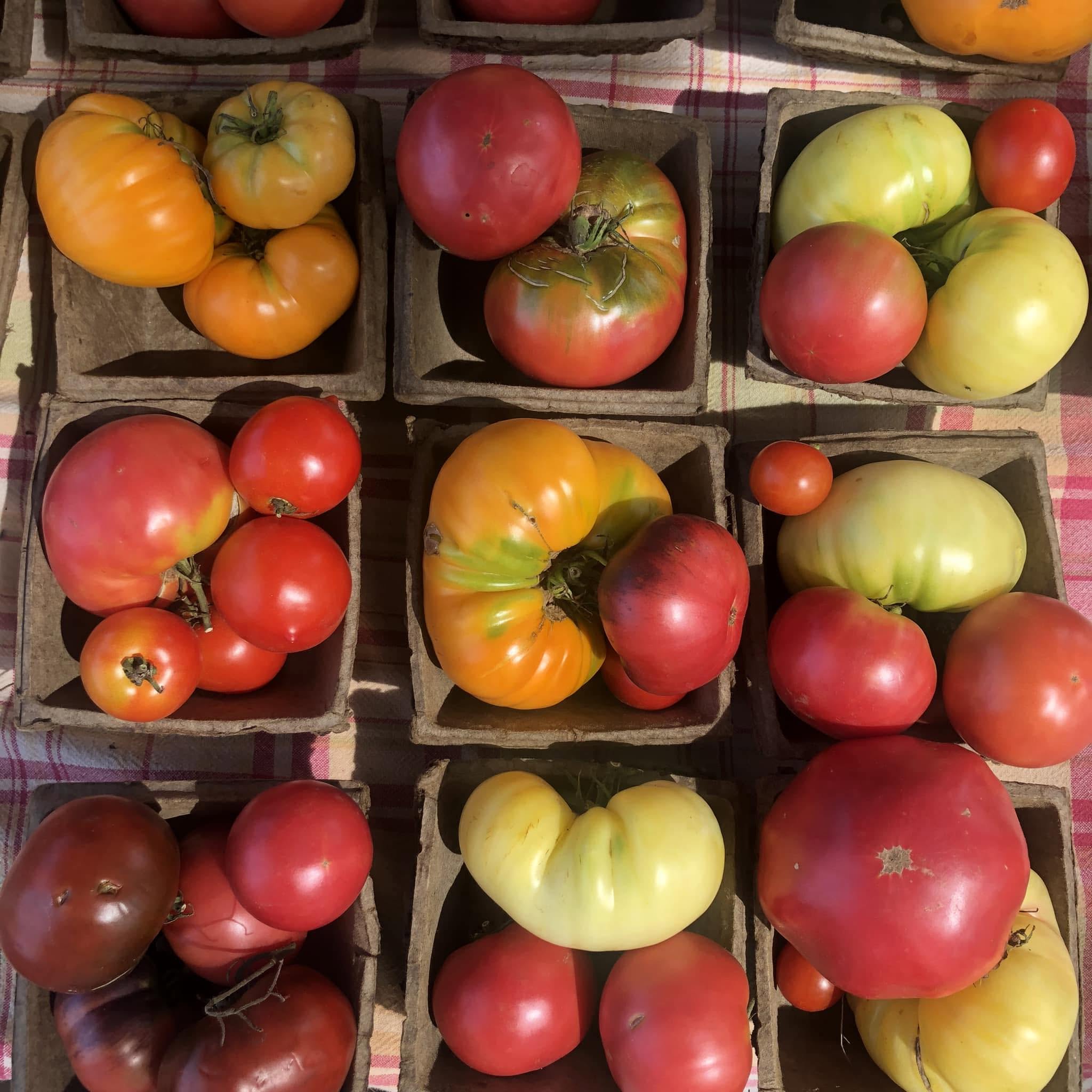 Block Island Farmers Market