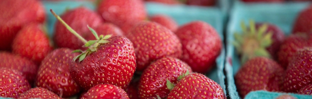 Fitler Square Farmers Market