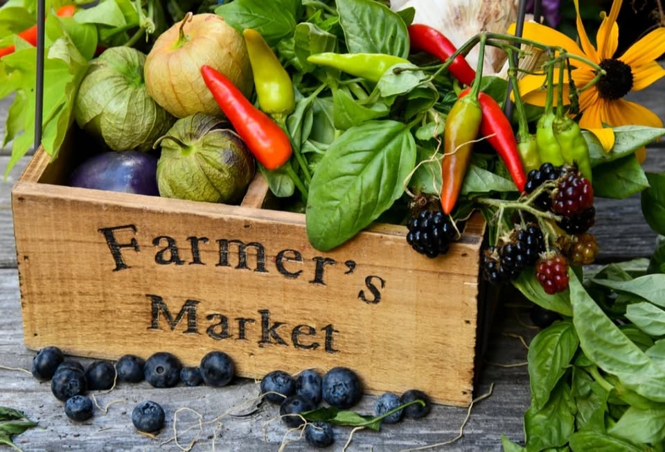 Allegany Farmers Markets