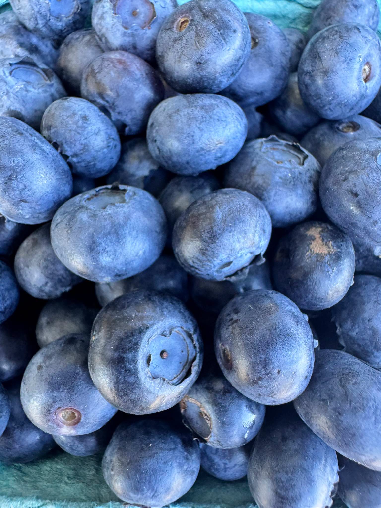 Trenton  Farmres Market