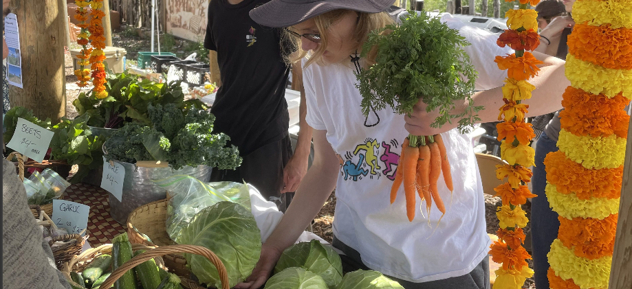 Questa Farmers Market