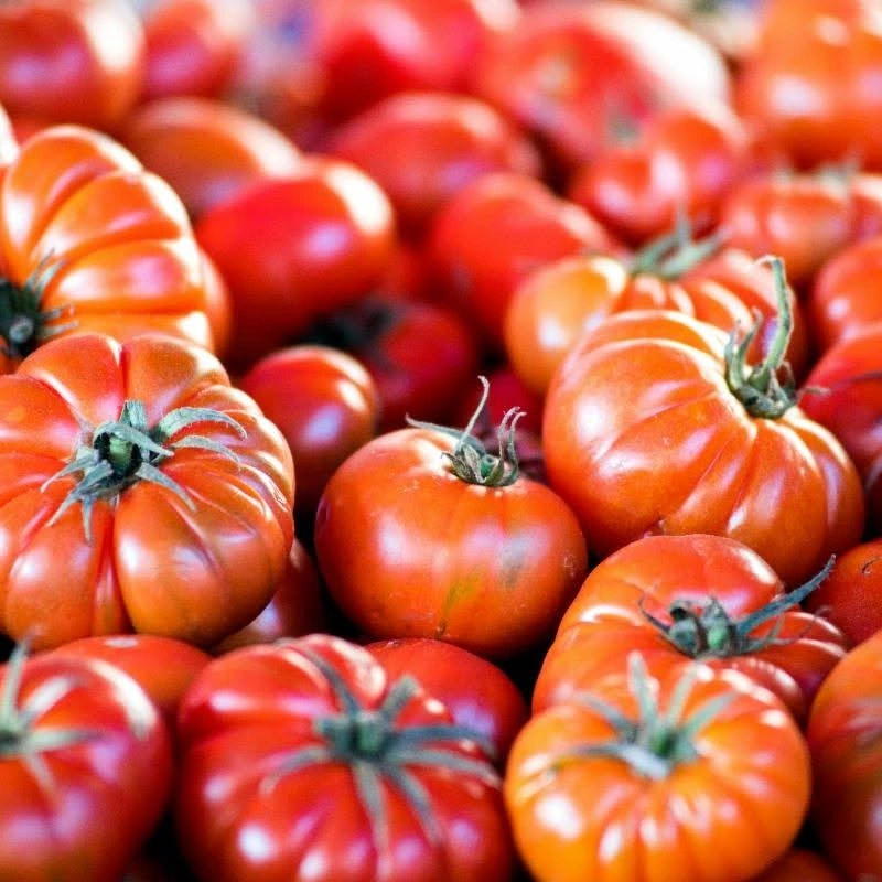 Stonington Farmers' Market