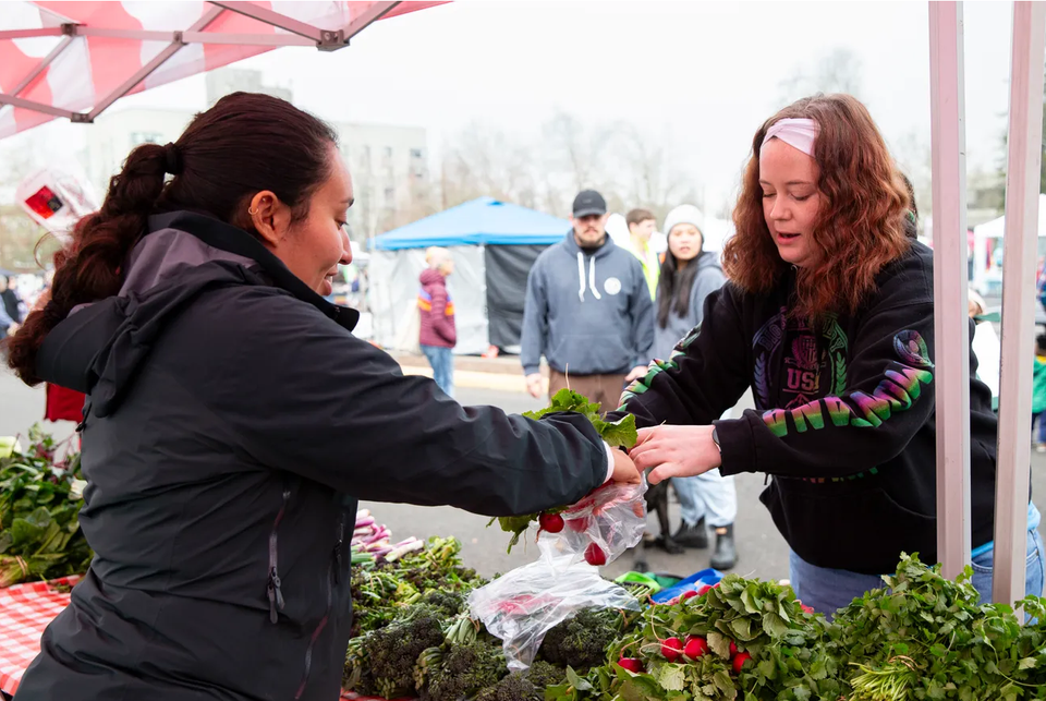 Saturday Market