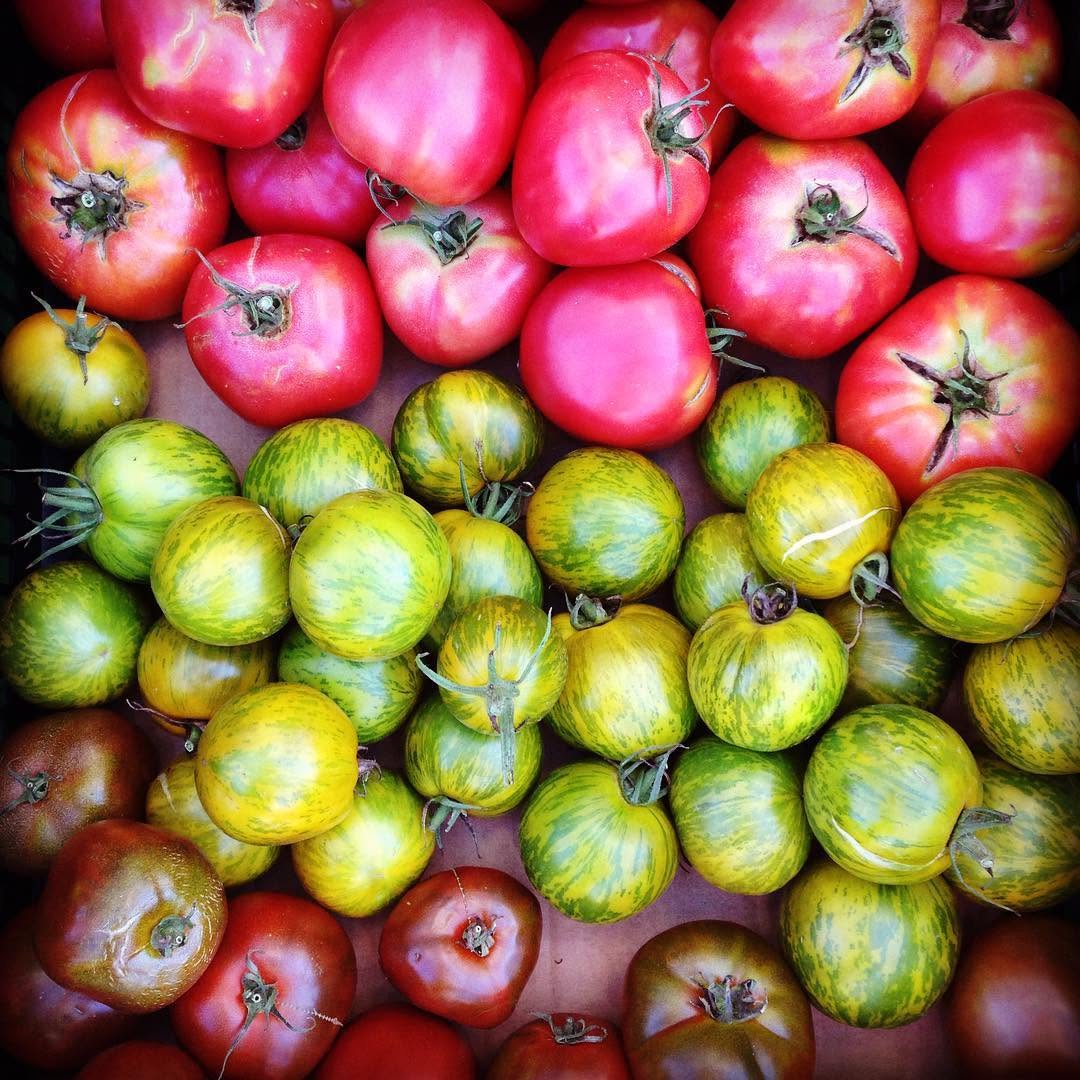 Damariscotta Farmers' Market