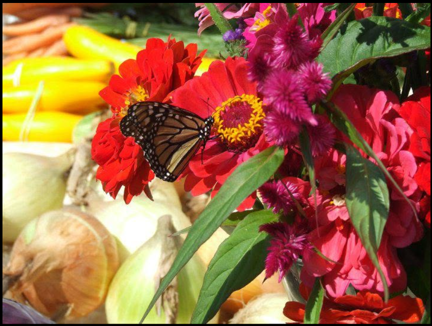 Northside Farmers Market