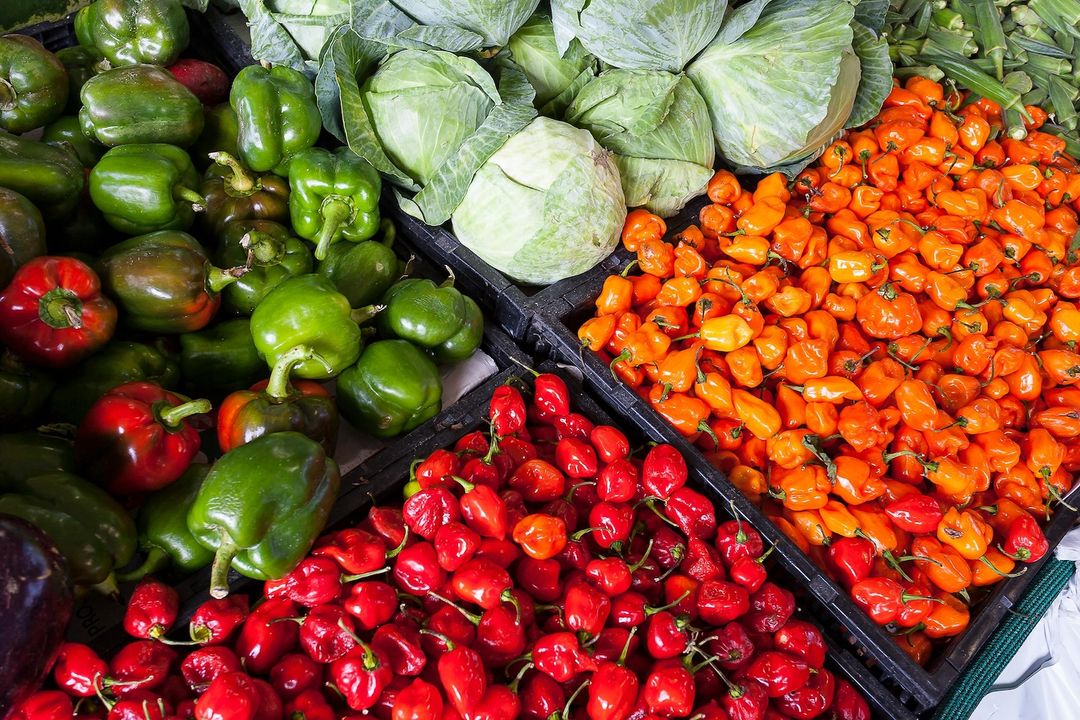 The Shoppes at Eastchase Farmers Market