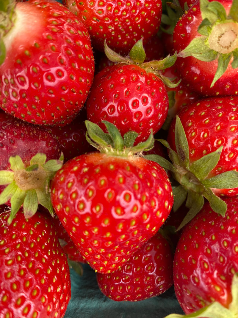 Scituate Rotary Farmers Market