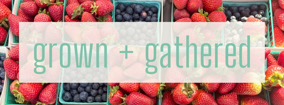 Festival City Farmers Market