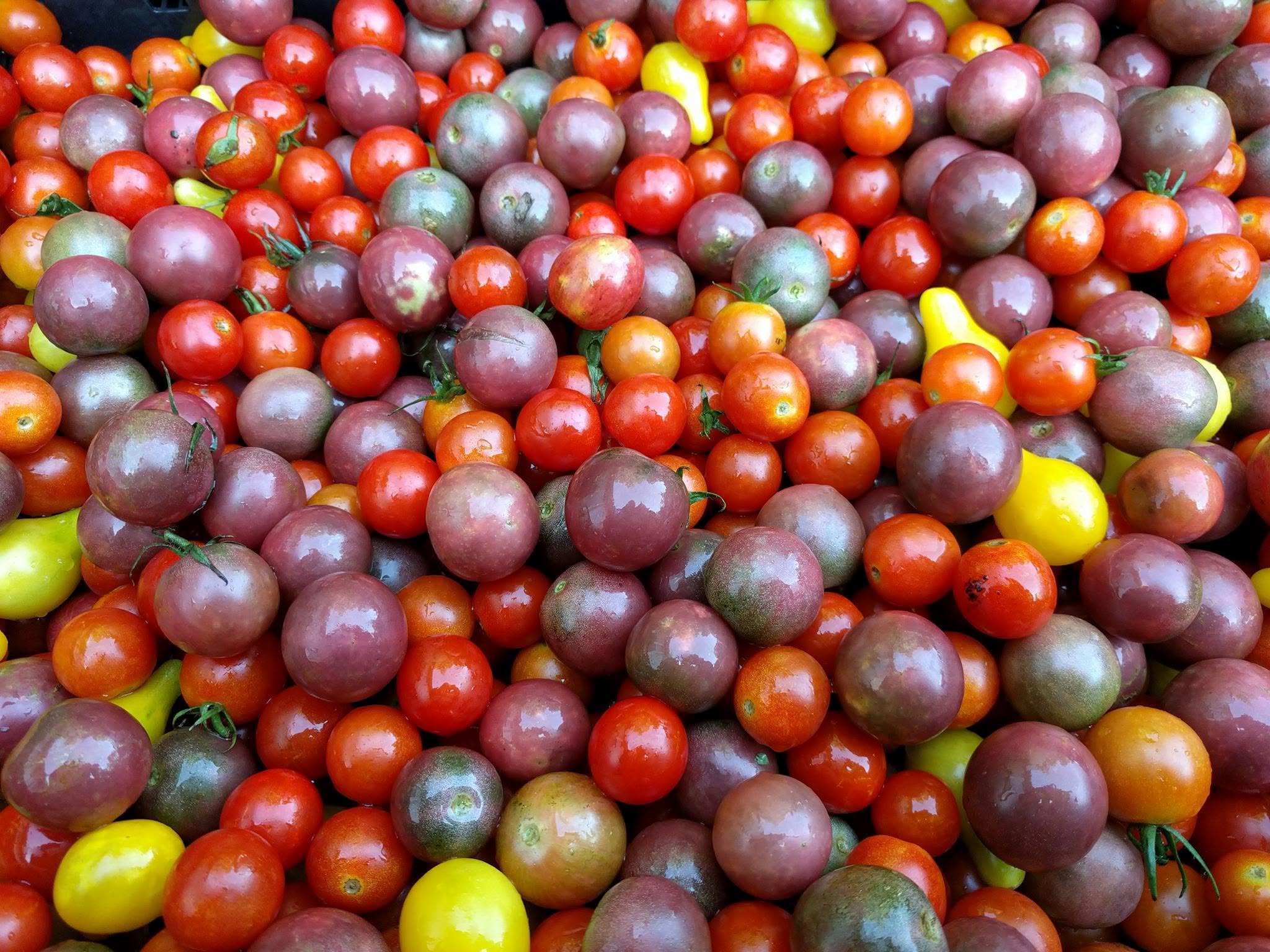 Lake Saint Louis Farmers & Artists Market