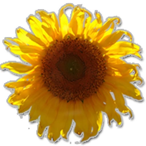 Sierra Vista Farmers Market