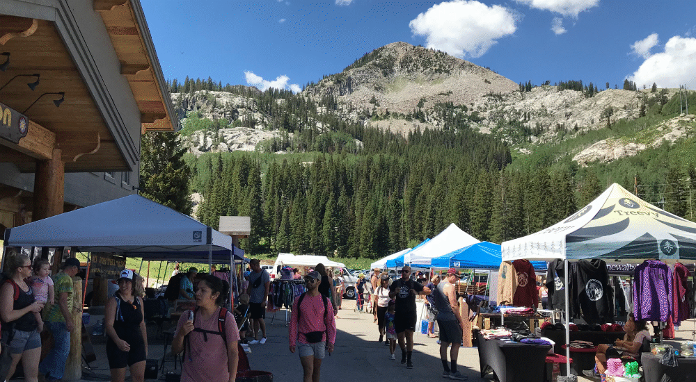 Big Cotton Canyon Market