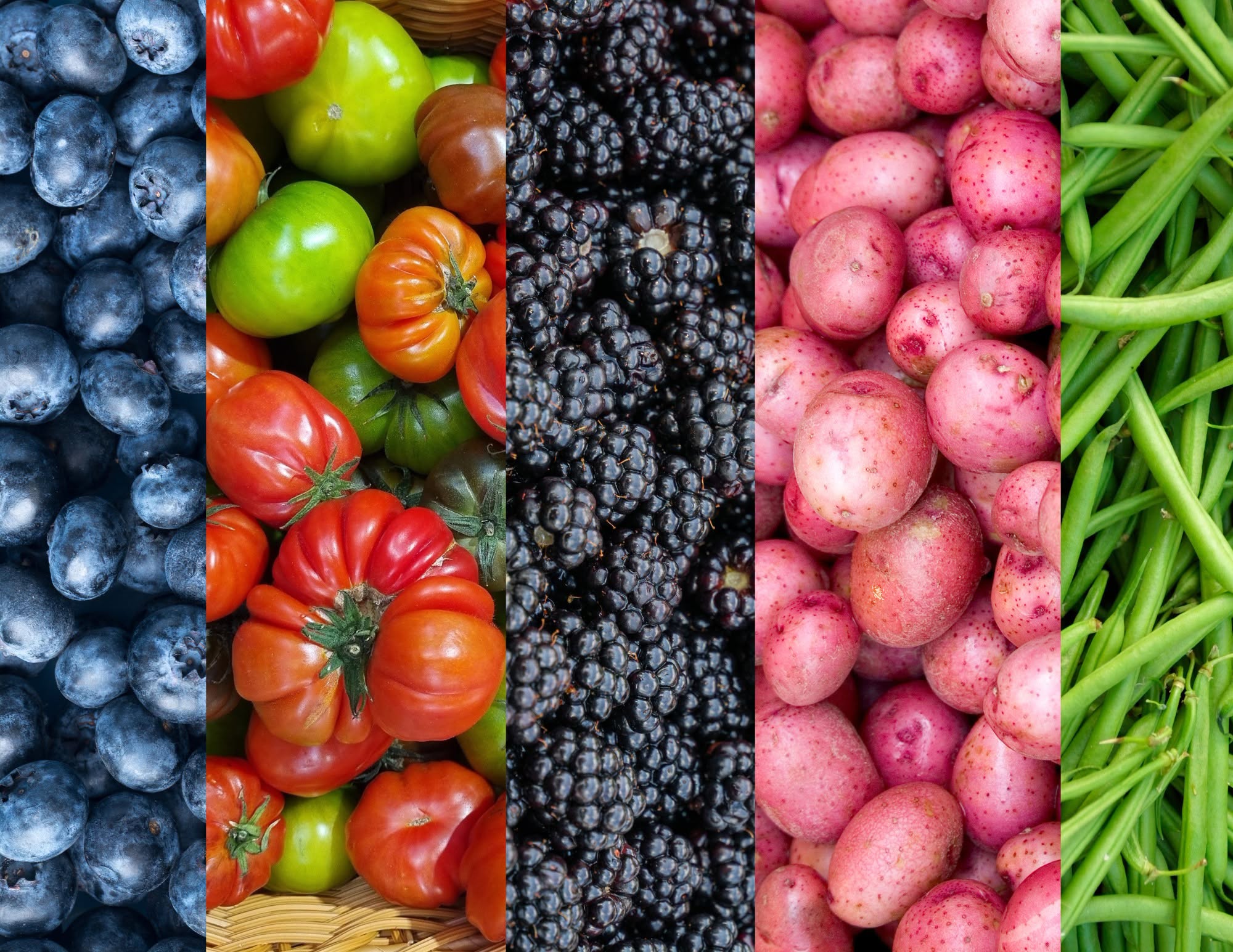 Webb City Farmers Market