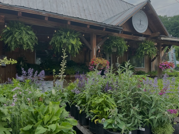 The Roots Farm Market