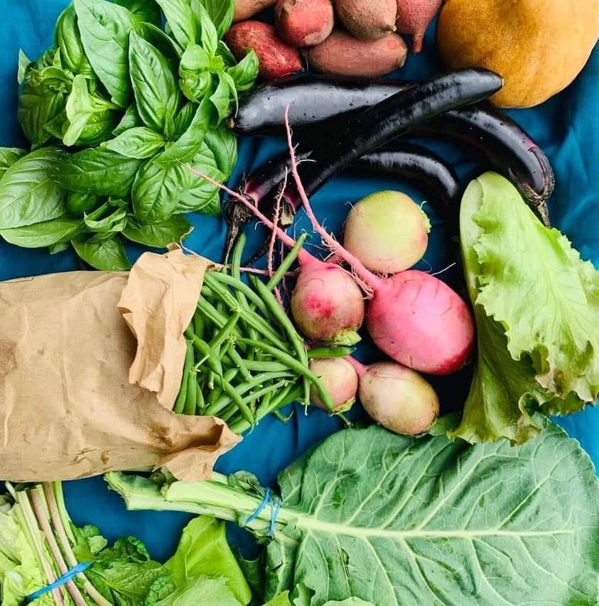 Alachua County Farmers Market
