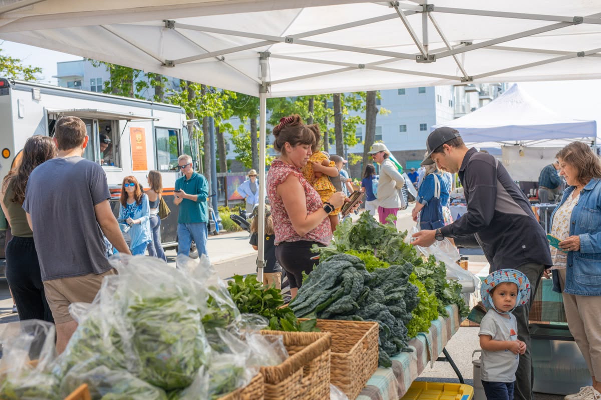 Old Beach Farmers Market