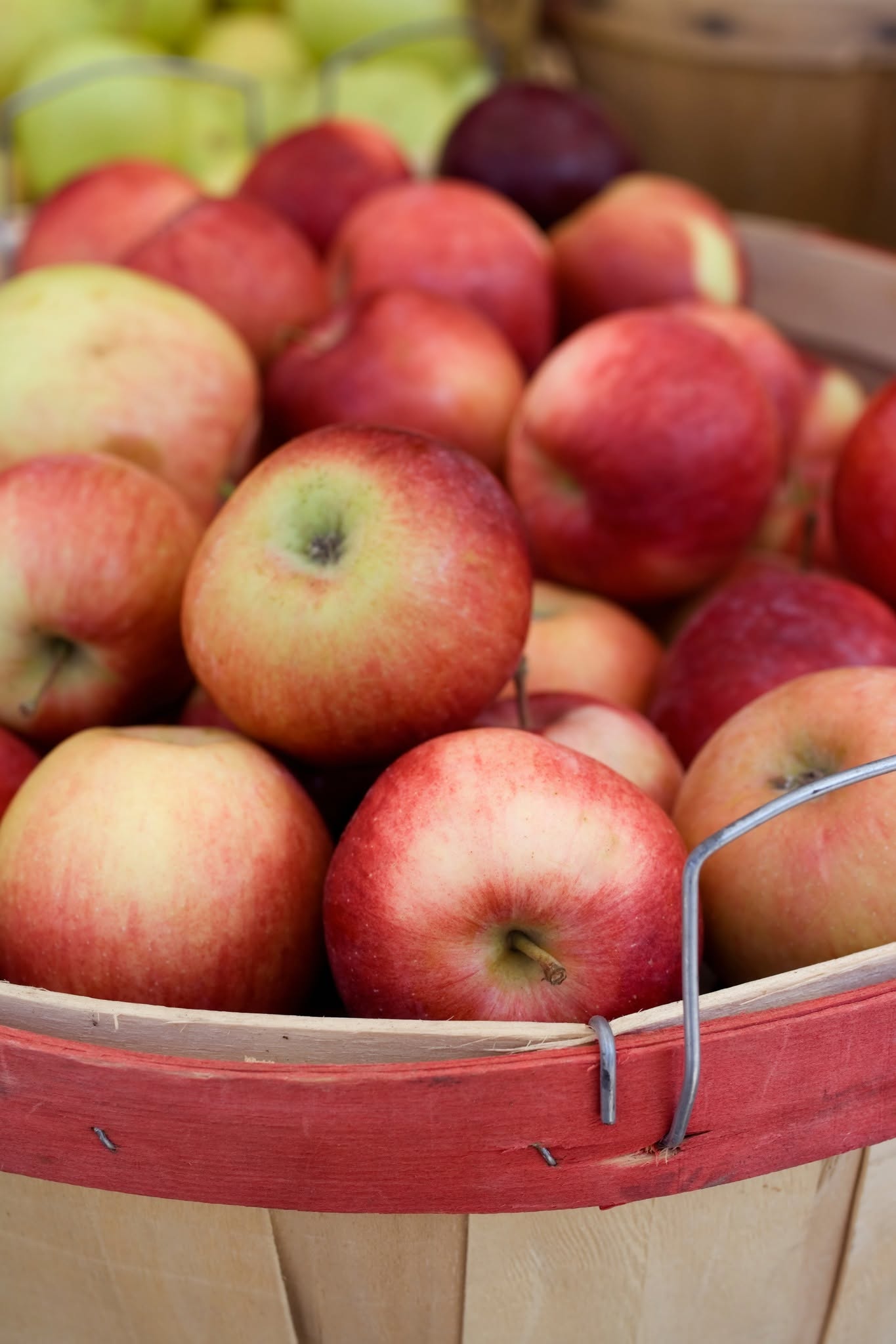 South Haven Farmers Market