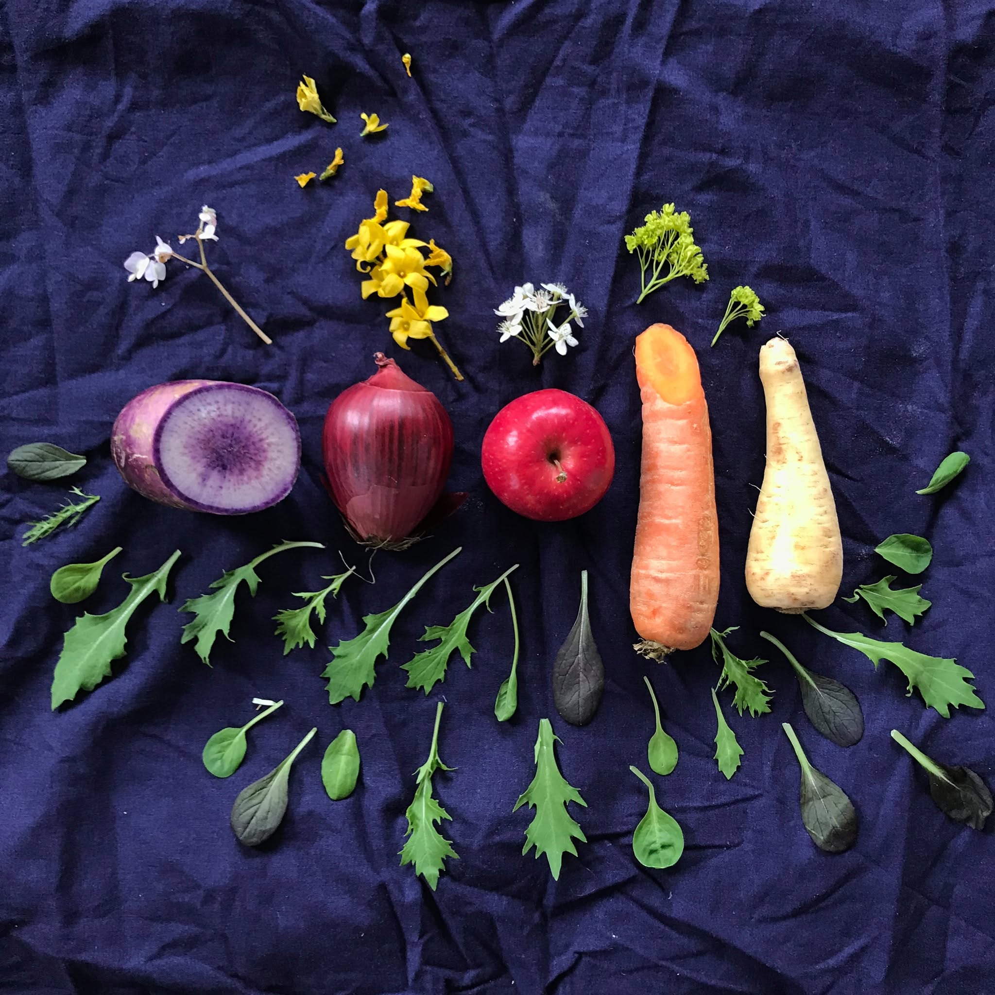 Somerville Winter Farmers Market