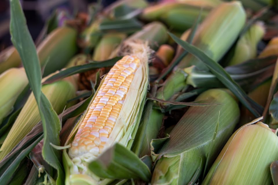 Midland Area Farmers Market