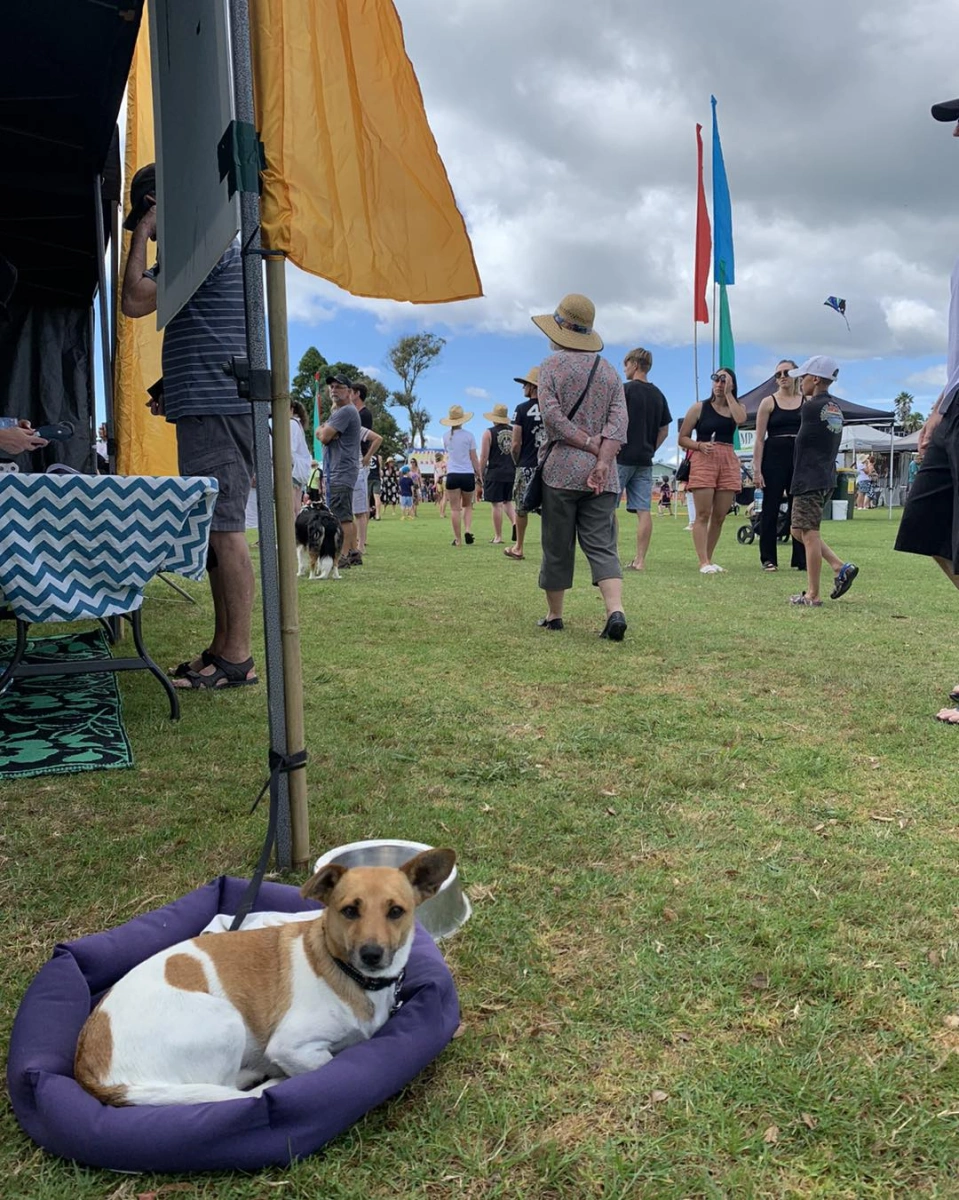 Waihi Beach Summer Fair photo